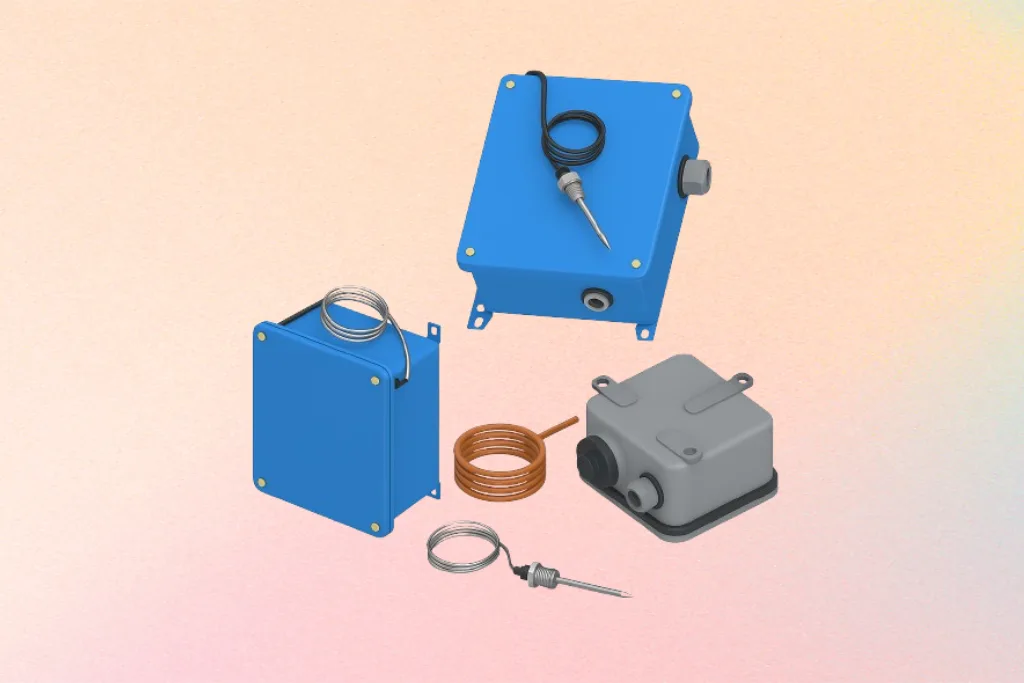 Bachelor of Science in Computer Science